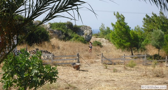 DSC00056