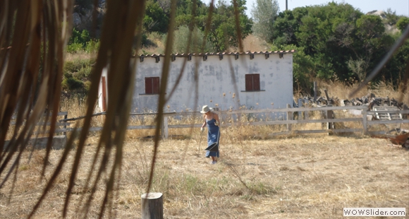DSC00063