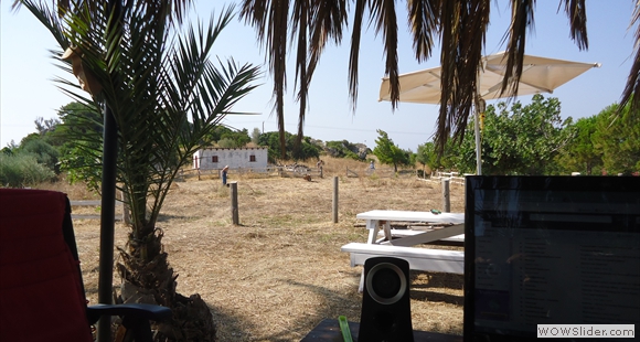 DSC00064